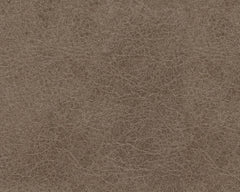 Navi - Sofa - Fossil
