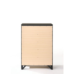 Soteris - Chest - Antique Gray