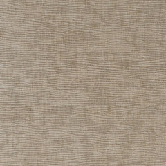Jade - 2-Piece Chenille Upholstered Sofa Set - Latte