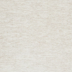 Shane - Loveseat With 2 Pillows - Beige Linen