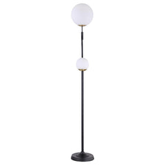 Dacki - Dual Spherical Bulb Metal Floor Lamp - Black