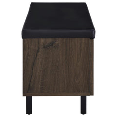 Brixton - 2-Door Padded Entryway Shoe Storage Bench