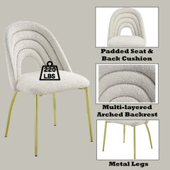Fadri - Side Chair (Set of 2) - Teddy Sherpa & Mirrored Gold