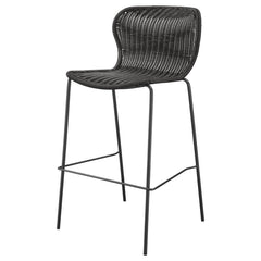 Mckinley - Faux Rattan Metal Chair (Set of 2)