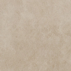 Elison - Motion Sofa - Dark Beige Polish Microfiber