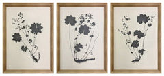 Huddwick - Wall Art Set (Set of 3) - Linen / Black