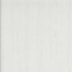 Deznee - 48" Home Office Desk - White