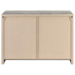 Enoch - 2-Door Accent Cabinet - Gray Driftwood