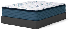 Limited Edition Plush PT 3.0 - Mattress