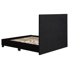 Hailey - Upholstered Panel Bed