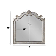 Esteban - Mirror - Antique Champagne
