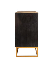 Zara - 2-Door Wood Accent Storage Cabinet