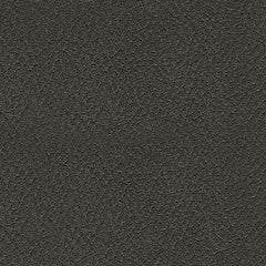 Sultan Meadow - 2-Piece Reclining Sectional - Carbon