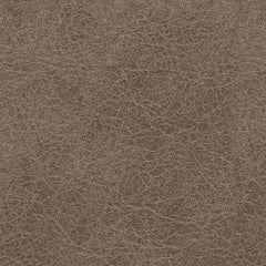 Navi - Queen Sofa Sleeper - Fossil