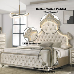 Lucienne - Bed With LED