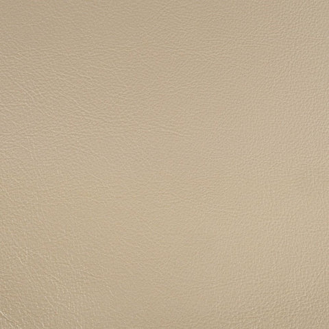 Danae - Side Chair (Set of 2) - Synthetic Leather , Champagne & Gold