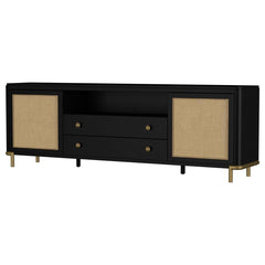 Arini - Rattan Cane 2-Door TV Stand Media Console - Black