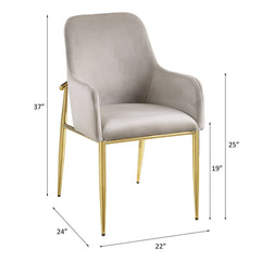 Barnard - Side Chair (Set of 2) - Gray Velvet & Mirrored Gold Finish