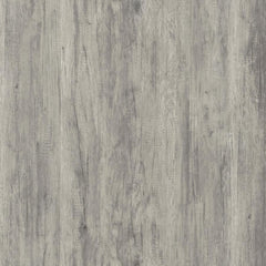 Enoch - 2-Door Accent Cabinet - Gray Driftwood