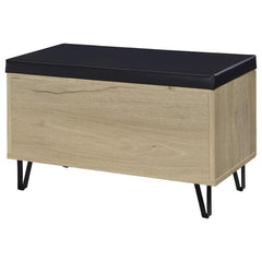Brixton - 2-Door Padded Entryway Shoe Storage Bench