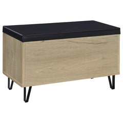 Brixton - 2-Door Padded Entryway Shoe Storage Bench