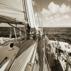 Arlanford - Wall Art - Sepia