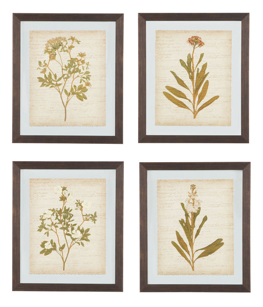 Dyani - Brown - Wall Art Set (Set of 4)