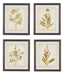 Dyani - Brown - Wall Art Set (Set of 4)